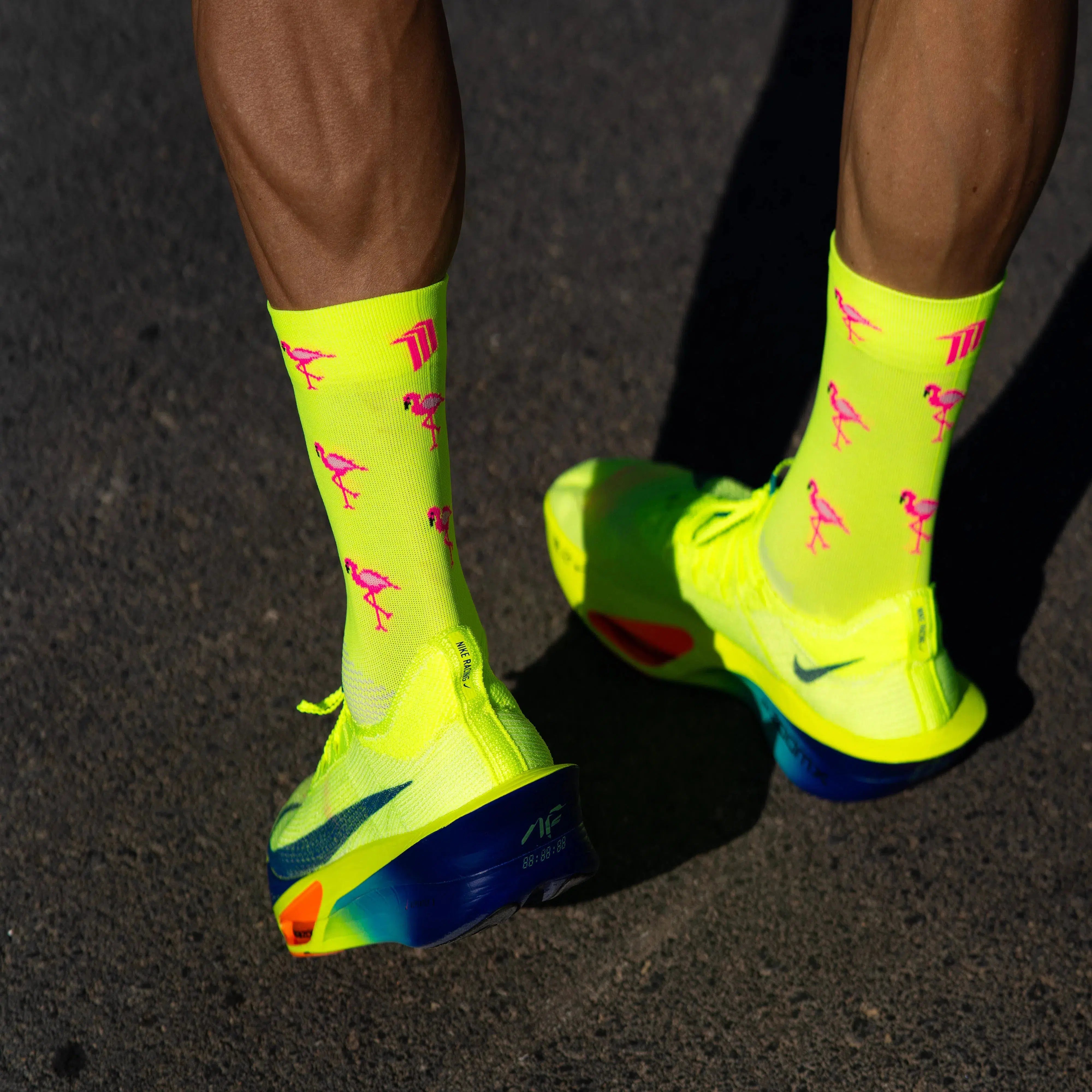 Sporcks Flamingo Hardloopsokken